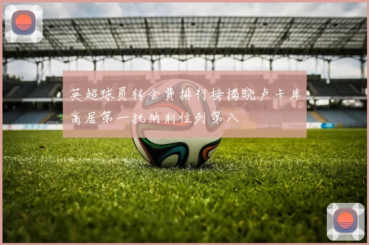 英超球员转会费排行榜揭晓卢卡库高居第一托纳利位列第八