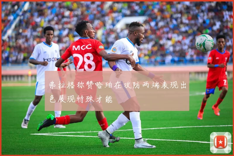 弗拉格称赞哈珀在攻防两端表现出色展现特殊才能