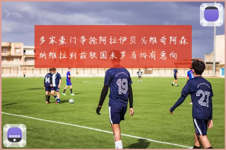 多家豪门争抢阿拉伊贝戈维奇阿森纳维拉利兹联国米罗马均有意向